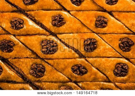 Baklava. Traditional east sweet with walnuts. Close up