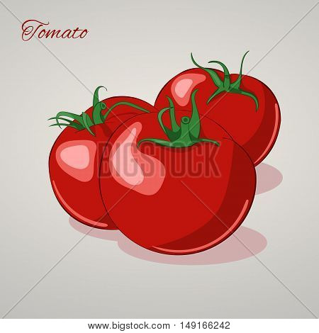 Cartoon sweet tomatoes isolated on grey background, vector illustration. Fruits and vegetables collection.
