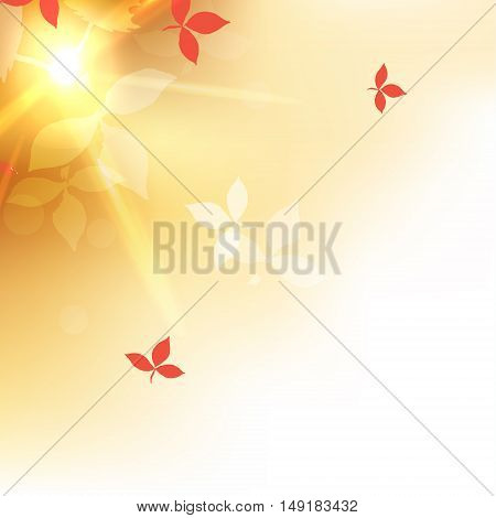 Autumn blurred orange abstract background with bokeh effect, red leaves. Vector illustration