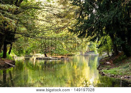 A beautiful day in the park at the beginning of autumn. Trees lake and sunset autumn.