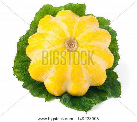 one yellow pattypan squash with leaf isolated on white background.
