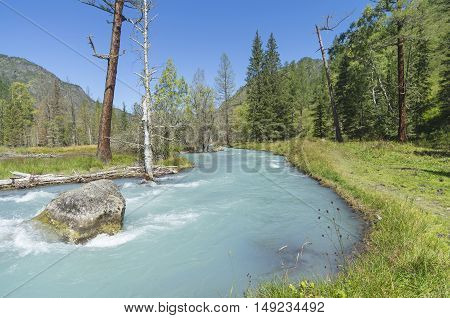 Big rock in the middle of a mountain river. Sunny summer day. The Kucherla river Altai Mountains Russia.