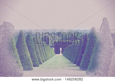 conical hedges lines and lawn, Versailles Chateau, France. Vintage painting, background illustration