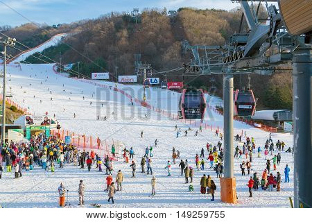 Vivaldi Park Ski Resort  In Korea.