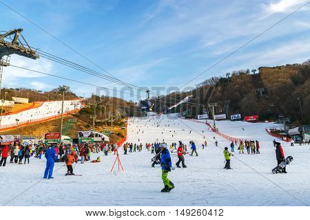 Vivaldi Park Ski Resort  In Korea.
