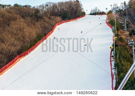 Vivaldi Park Ski Resort  In Korea.