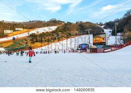Vivaldi Park Ski Resort  In Korea.