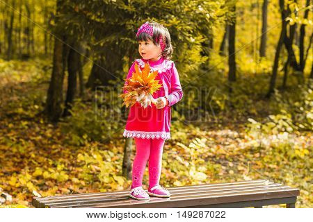 autumn happy little girl has fun playing with fallen golden leaves