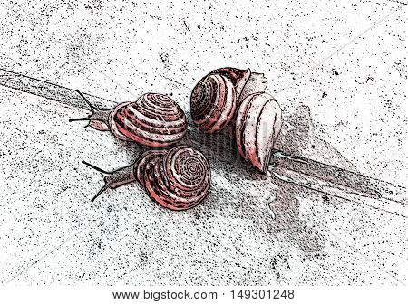 Four grape snails on the road. Illustration