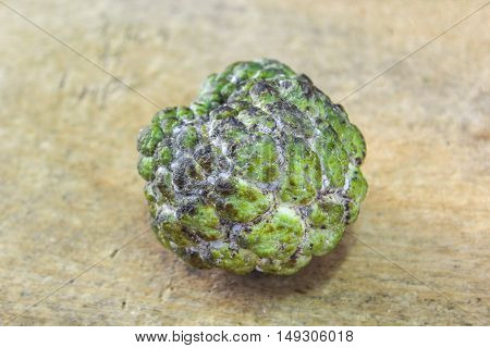 Sugar apple, custard apple (Annona squamosa Linn)