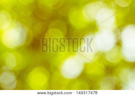 Blurred nature background.Backdrop with color and bright sun light. Summer holidays concept.bokeh background or Christmas background.Green Energy.