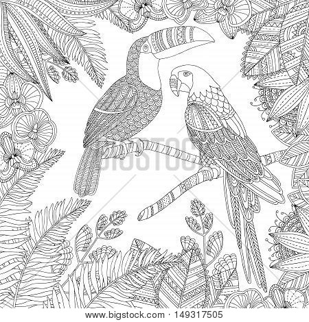 Vector hand drawn toucan bird and ara parrot tropical illustration for adult coloring book. Freehand sketch for adult anti stress coloring book page with doodle and zentangle elements.
