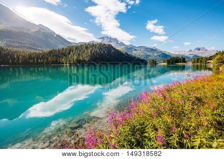 Great view of the azure pond Champfer in alpine valley. Popular tourist attraction. Picturesque and gorgeous scene. Location Swiss alps, Silvaplana village, district of Maloja, Europe. Beauty world.