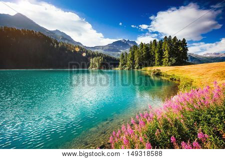 Great view of the azure pond Champfer in alpine valley. Popular tourist attraction. Picturesque and gorgeous scene. Location Swiss alps, Silvaplana village, district of Maloja, Europe. Beauty world.