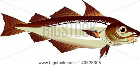 high quality haddock cartoon character include flat design