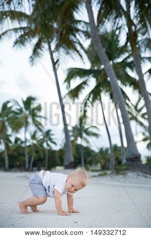 Adorable toddlerboy crawling in a tropic park. Cute little boy learning to walk outside on the sandy ocean beach. Small child near palms.