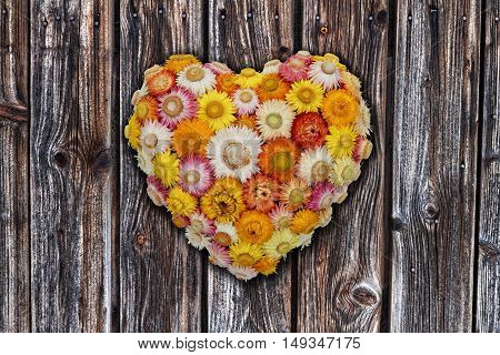 Heart-Shaped Everlasting Flower Arrangement on dark Pinewood Background