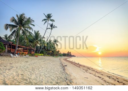Sunset beach with white sand and tall palms