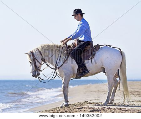 herdsman and Camargue walking in the sea