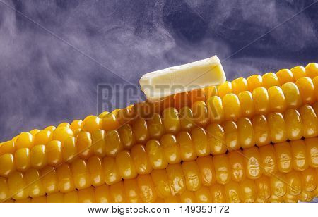 Boiled corn on the cob with a piece of butter, which is hot steam. Photos on a blue background