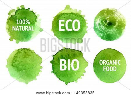 Vector natural organic food bio eco labels and shapes on white background. Hand drawn stains set.