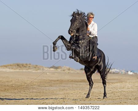 horsewoman and her horse on the beach