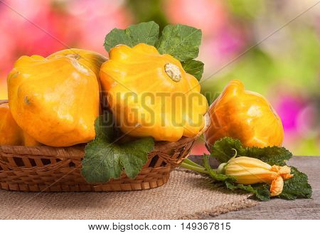 yellow pattypan squash with leaf in a wicker basket on a wooden table with a blurred background.
