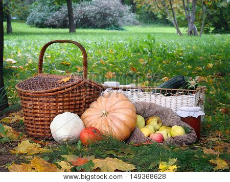 The autumn harvest from the garden on a glade with autumn leaves. Shopping pumpkins and squash jam in a jar wicker basket