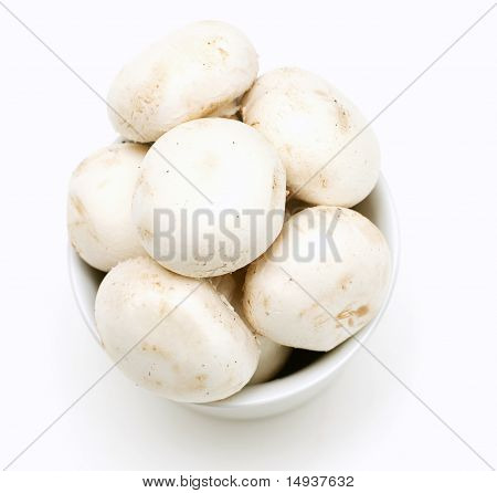 champignons