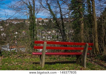 a wooden green park bench under trees in the forest