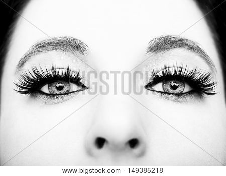 A beautiful insightful look monochrome woman's eyes