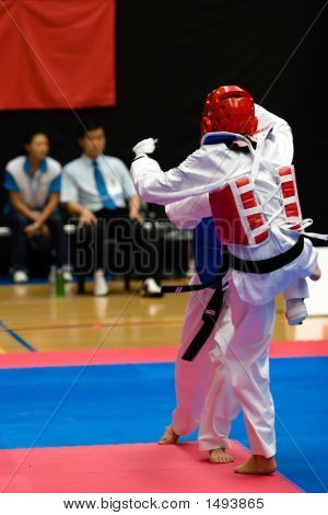 Taekwondo