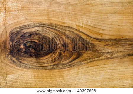 Natural wood slab texture, background and wallpaper. Horizontal composition