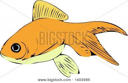 Goldfish.Eps