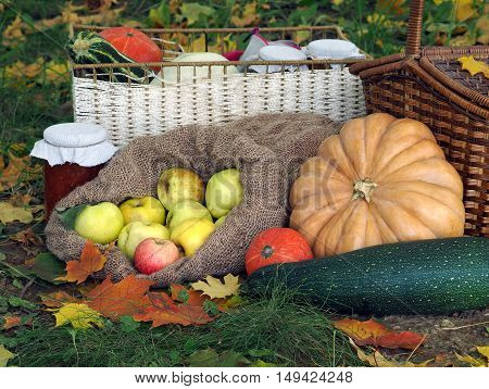 The autumn harvest from the garden on a glade with autumn leaves. Shopping pumpkins and squash jam in a jar wicker basket