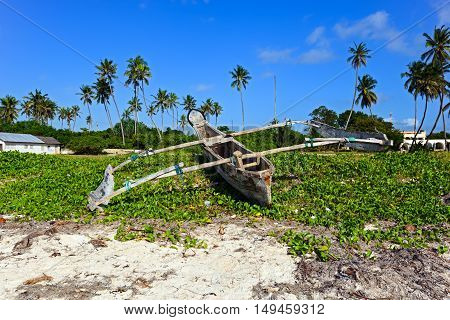 Picturesque Coast Diani
