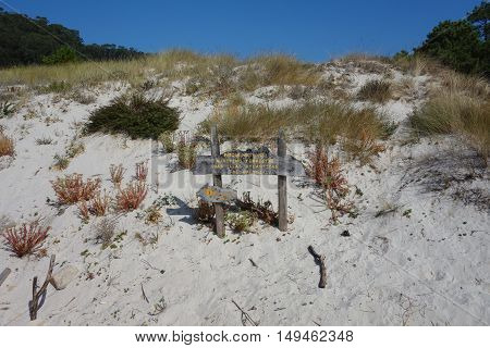 Image of Cies Islands white sand beach