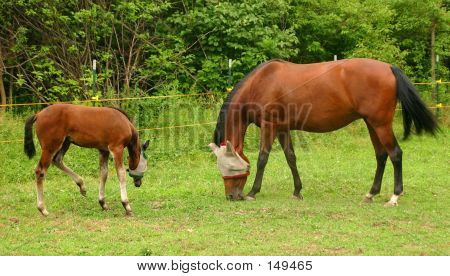 Mama und Sohn
