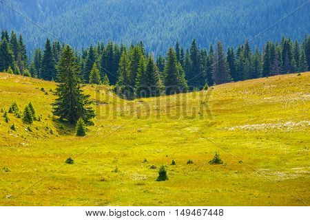 Landscape Of Transalpina Road In Parang Mountains, Romania