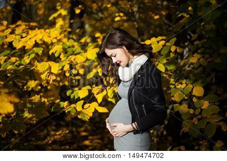 pregnant girl on the background of beautiful autumn leaves