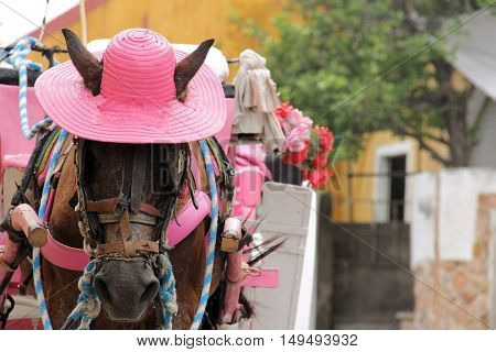 Yegua con sombrero tirando de una carreta