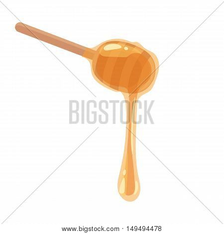 Wooden honey dipper, cartoon style vector illustration isolated on white background. Transparent liquid golden colored honey dripping from a wooden honey dipper