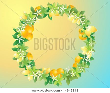 Diseño de limón y naranja