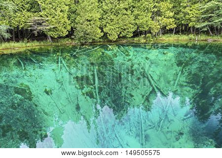 Lime-encrusted tree trunks lie beneath the clear waters of Michigan's Kitch-it-kipi (The Big Spring) not far from Manistique.