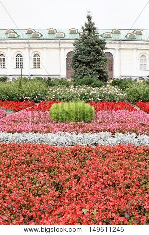 Moscow. Flower Garden on Manezh Square .2026