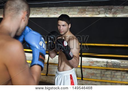 Boxers doing some sparring in the ring