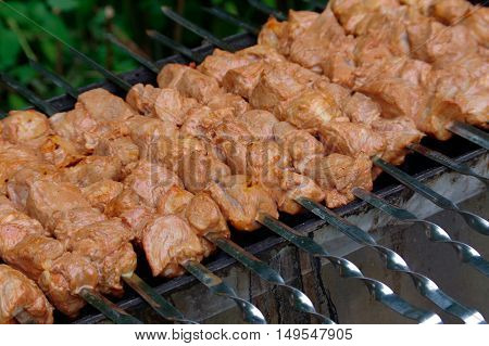 a Shashlik on skewers closeup on grill