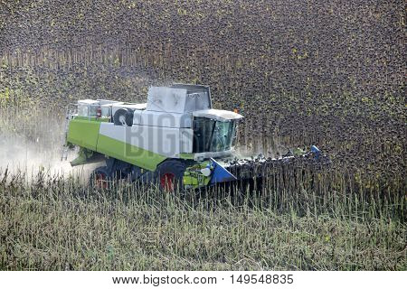 Combine is working in the field at autumn. Harvester is cutting ripe dry sunflowers. Agriculture. Long-focus
