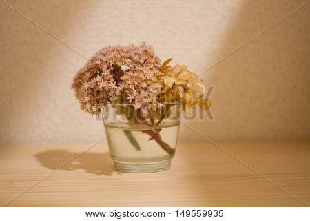 botanical water in glass on table .