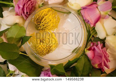yellow and green botanical on table .